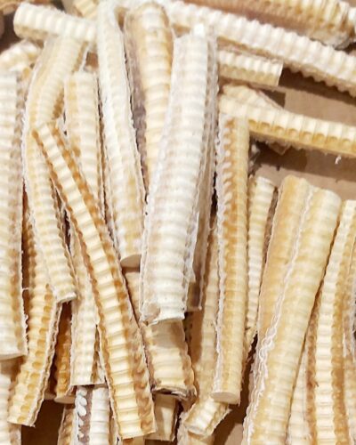 Shark Cartilage Sticks