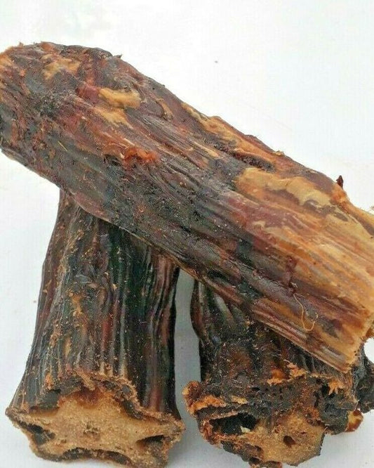 Kangaroo Tail Full