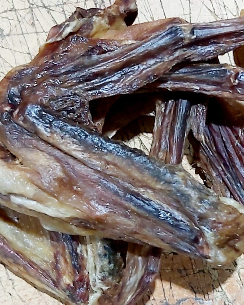 Duck Wings