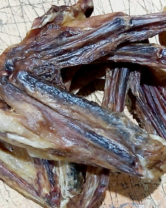 Duck Wings