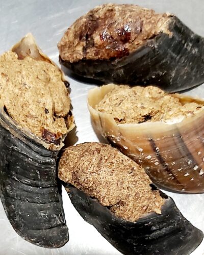Cow Hooves - filled